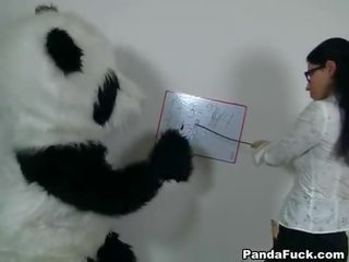 Seksi učitelj za potrebni panda medved