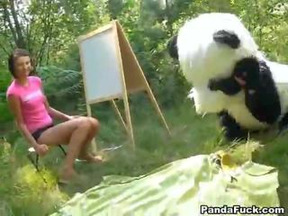 Ххх в на гори почти а огромен играчка panda