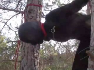 Tied up to a tree outdoor on captivating clothes&comma; wearing pantyhose and high ankle boots heels&comma; rough fuck